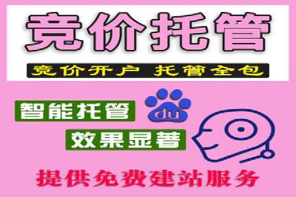 社交媒体平台信息流广告的精准投放案例